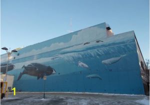 Wyland Murals Robert Wyland 54th Whaling Wall Jc Penny Bldg Anchorage Ak