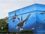 Wyland Murals Whaling Wall Picture Of Whaling Wall south Padre island Tripadvisor