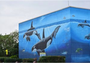 Wyland Murals Whaling Wall Picture Of Whaling Wall south Padre island Tripadvisor