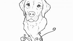 Yellow Lab Puppy Coloring Pages Yellow Lab Puppy Coloring Pages