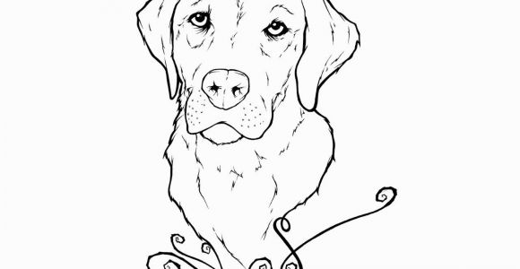 Yellow Lab Puppy Coloring Pages Yellow Lab Puppy Coloring Pages