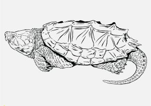 Yertle the Turtle Coloring Page Free Printable Alligator Coloring Pages