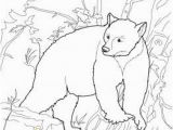 Yogi Bear Coloring Pages Printable Free Coloring Pages Of All sorts