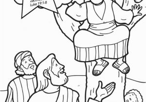 Zacchaeus In the Bible Coloring Page Free Coloring Pages Story Zacchaeus Sketch Coloring