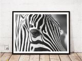 Zebra Print Wall Murals Zebra Print Zebra Wall Art Zebra Modern Minimalist Wall Art Zebra