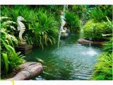 Zen Garden Wall Mural Murals Wallpaper Tropical