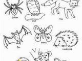 Zoo Animal Coloring Pages for Preschool Nocturnal Animals éjszakai állatok with Images