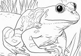 Zoo Animal Coloring Pages for toddlers Zoo Animals Coloring Pages Best Coloring Pages for Kids