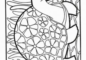 Zoo Coloring Page Zoo Coloring Pages